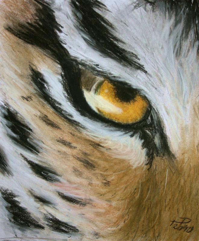 660x800 Photos Tiger Eye Drawing Pencil,