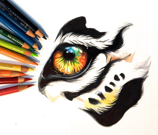 600x511 Drawings Of Tigers Eyes