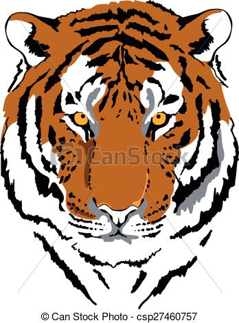 348x470 Tiger Head Color Interpretation 6. Tiger Head In Color Clipart