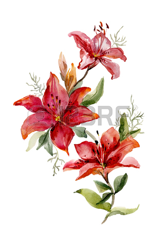 Tiger Lilies Drawing at GetDrawings | Free download