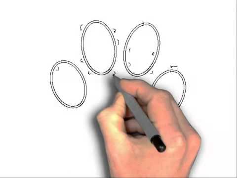 480x360 How To Draw A Tiger Paw