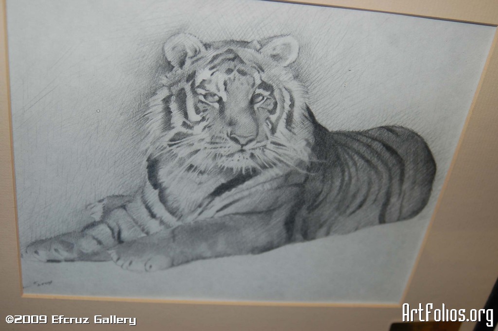 1024x681 Tiger Pencil Drawing