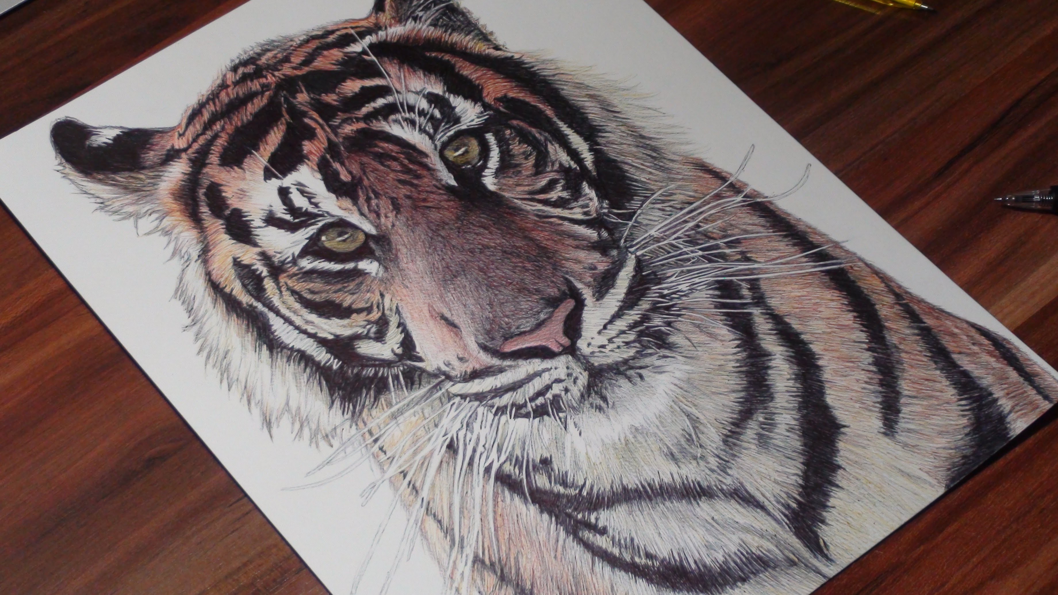 3680x2070 Realistic Tiger Pen Drawing