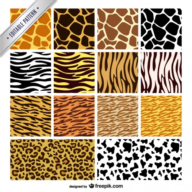 626x625 Leopard Print Pattern Vector Free Download
