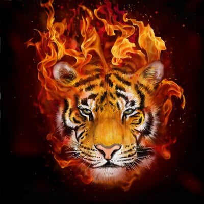 400x400 Naiyue S194 Fire Tiger Print Draw Diamond Drawing $3.35 Online