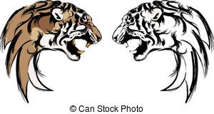 300x160 Drawing Tiger Head Clipart And Stock Illustrations. 3006 Tiger
