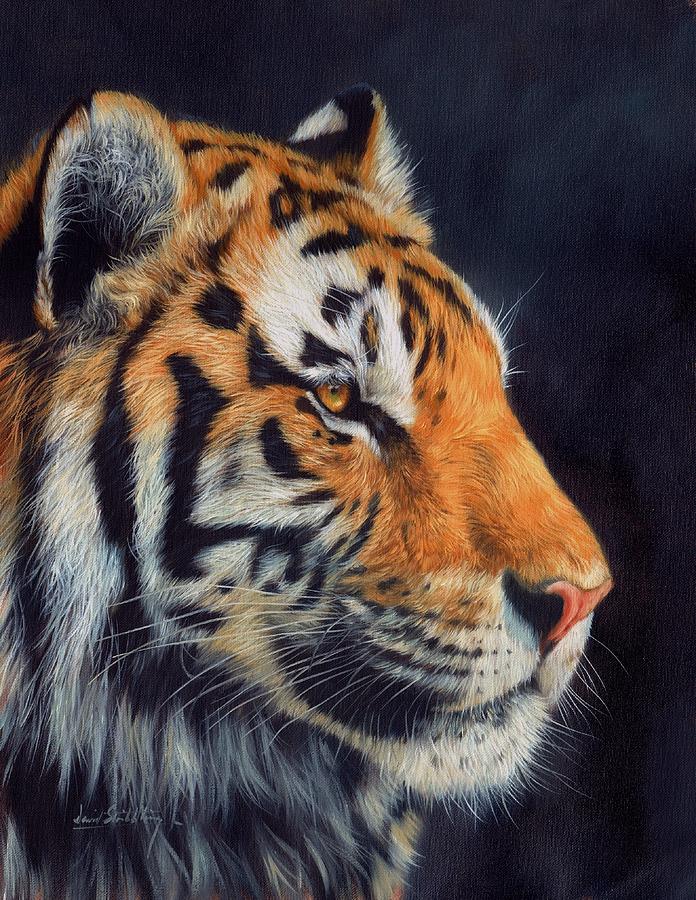 696x900 Tiger Profile Painting By David Stribbling