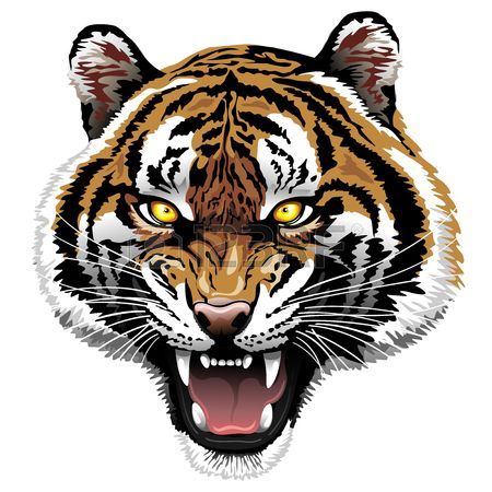 450x450 Roaring Angry Tiger Illustration Royalty Free Cliparts, Vectors