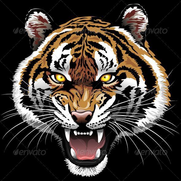 590x590 The Tiger Roar By Bluedarkat Graphicriver