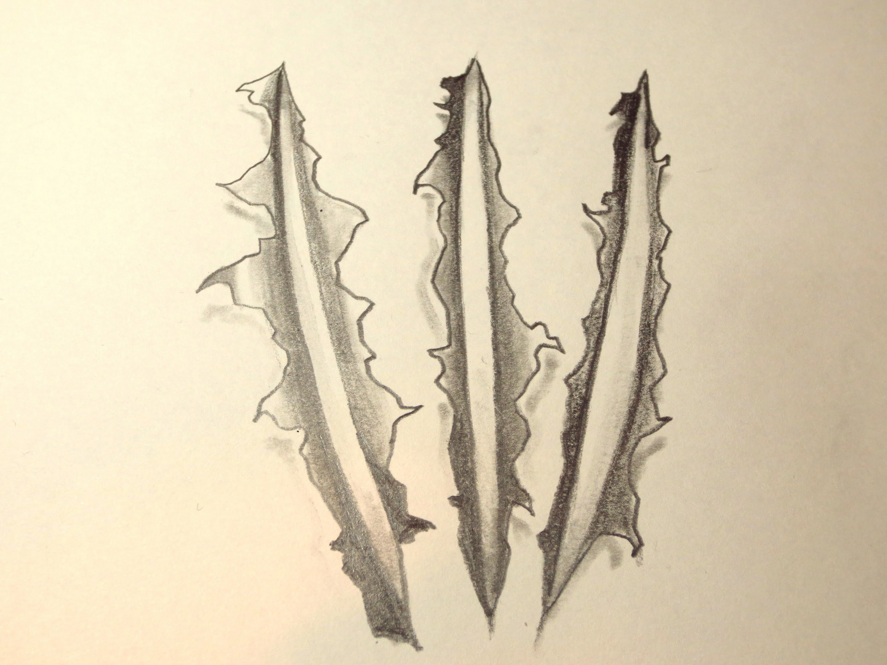 3000x2250 How To Draw Wolverine Clawmarks