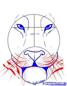 236x301 How To Draw A Tiger Face Step 4 Tutorials Tiger