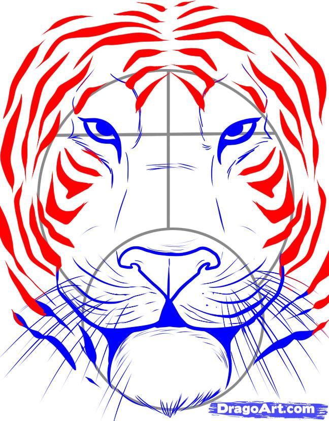 648x829 How To Draw A Tiger Face Step 5 Crayon Art Tiger