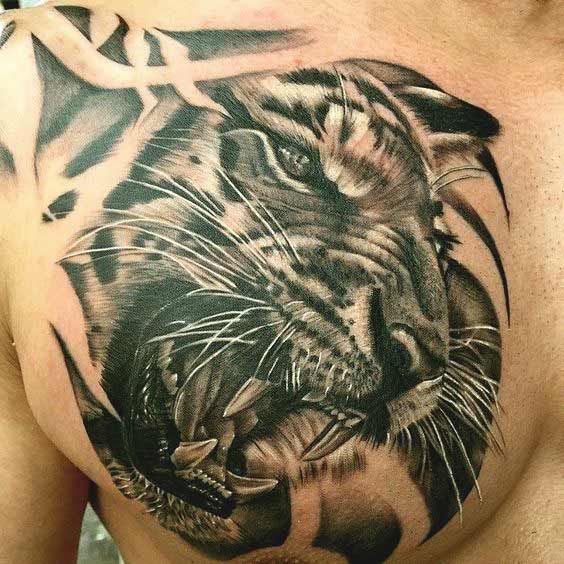 564x564 50 Really Amazing Tiger Tattoos For Men And Women