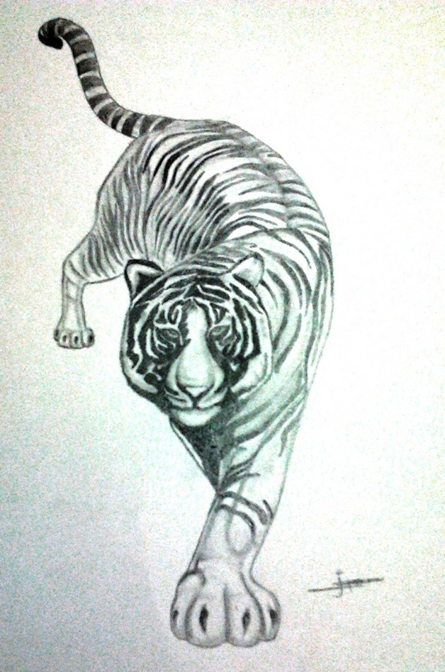 628x948 Black And White Tiger Tattoo Sketch