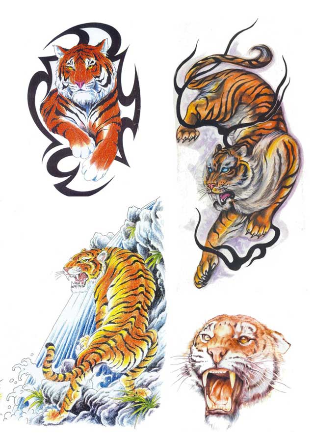 640x900 Tiger Tattoo Designs Angry Tiger Tattoo Design Art Designs Free