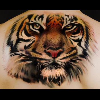 350x350 Tiger Tattoo Meanings