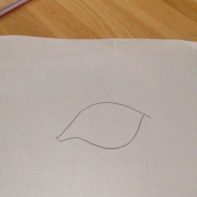 640x640 How To Draw A Tiger Eye