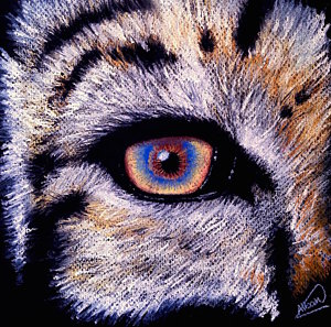 300x297 Tiger Eyes Drawings Fine Art America