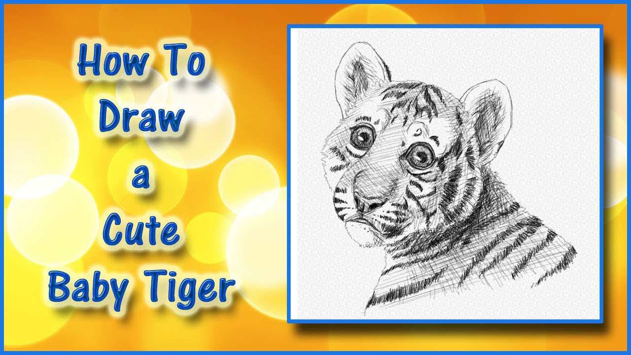 1280x720 How To Draw A Cute Baby Tiger Realistic Shaded Tiger Art Tutorial