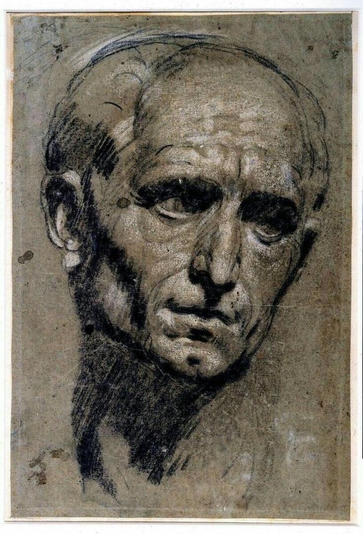 736x1082 54 Best Jacopo Tintoretto Images On Full Figured