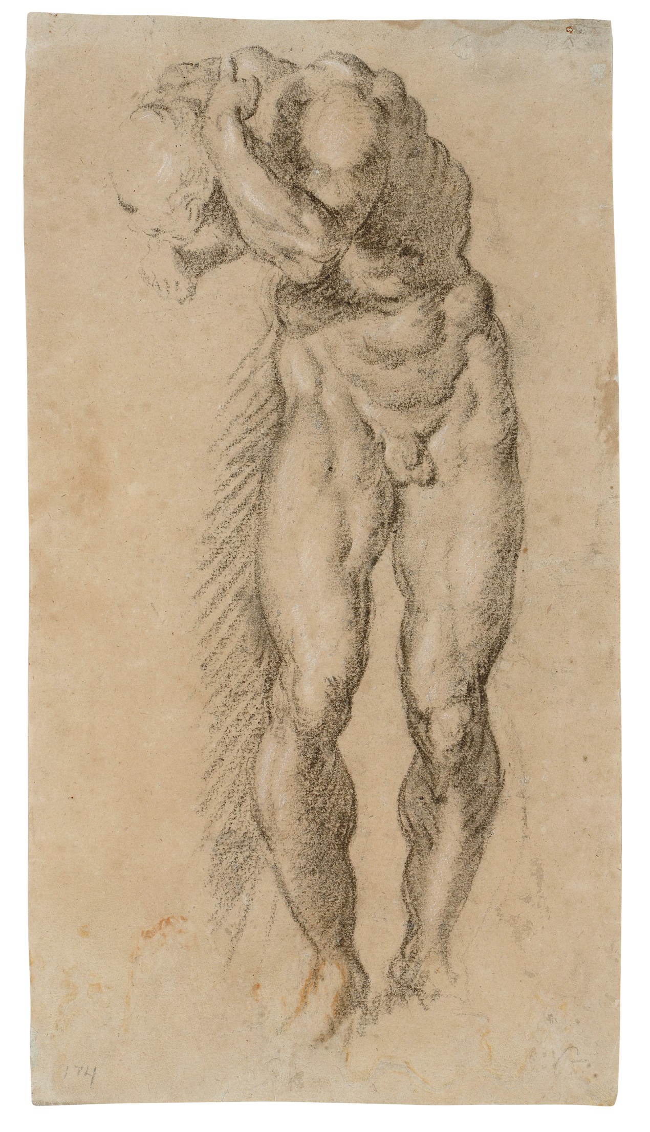 1270x2212 Jacopo Tintoretto (Venice 1519