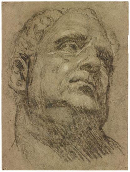 417x550 Roman Head (So Called Head Of Emperor Vitellius) Jacopo