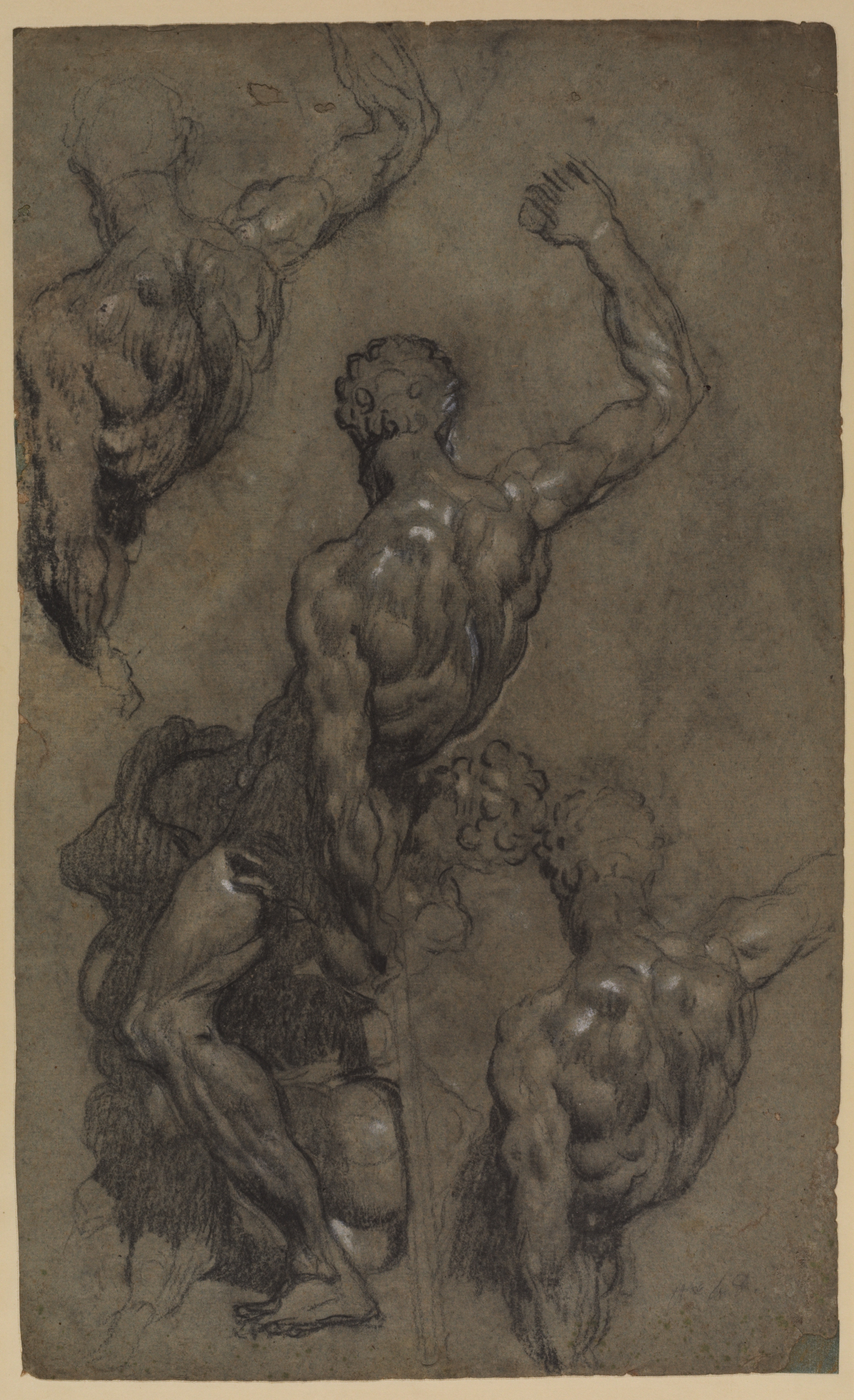 1386x2272 Tintoretto, Samson