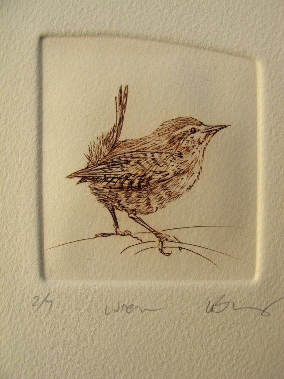 570x760 Wren. Tiny Bird Drypoint Etching In Blue Or Brown. On Etsy, $55.36