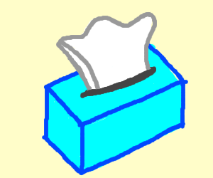 300x250 Tissue Box
