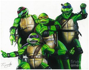 300x235 Tmnt Drawings Fine Art America