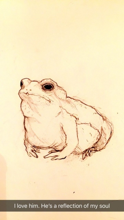 422x750 Toad Pencil Tumblr