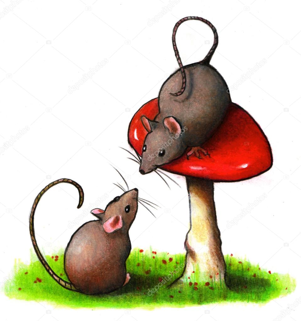 958x1024 Mice With Toadstool Color Pencil Art Stock Photo Joyart