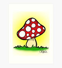 210x230 Toadstool Drawing Art Prints Redbubble