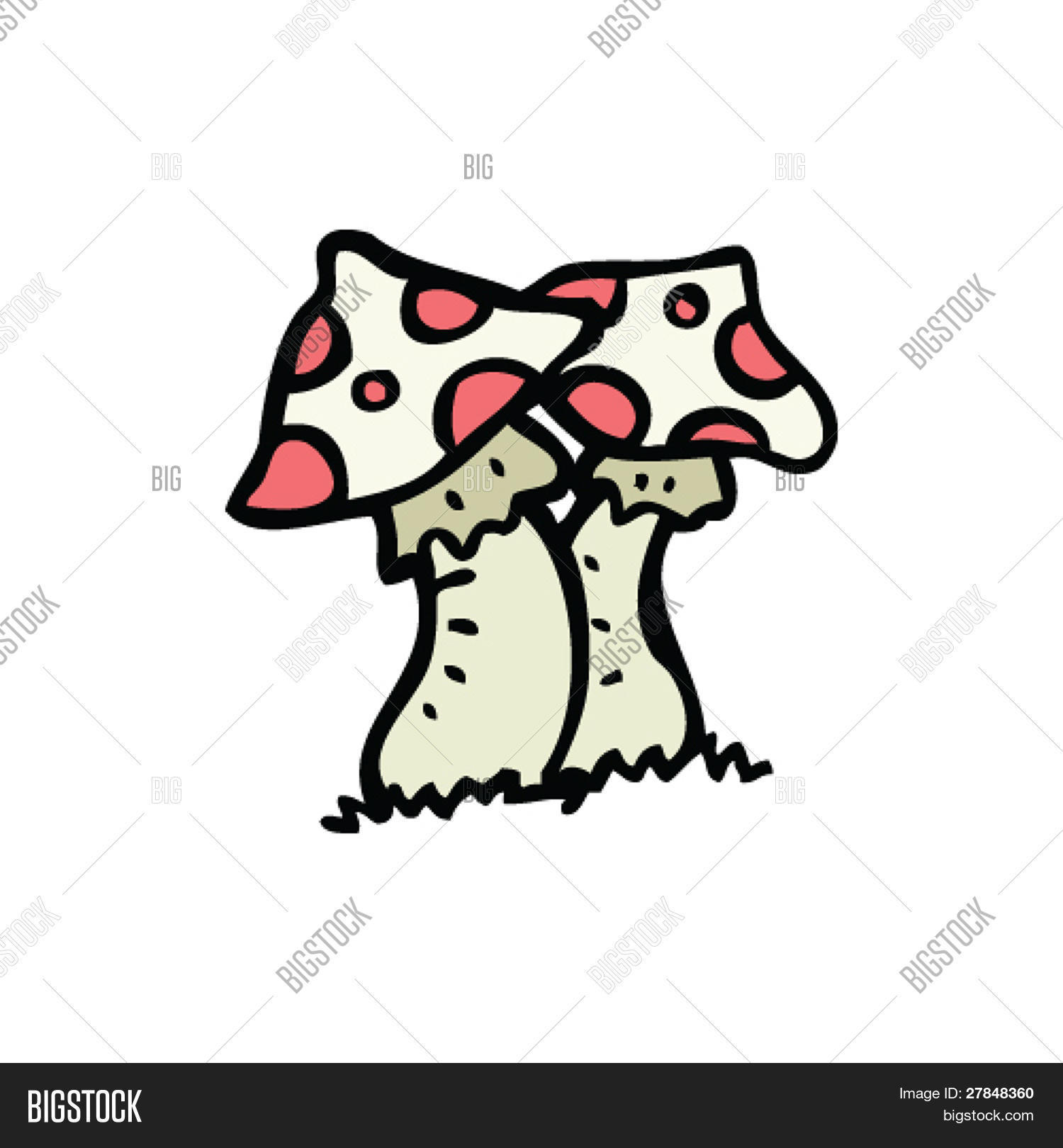 1500x1620 Toadstool Drawing Vector Amp Photo Bigstock