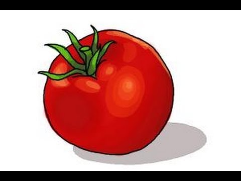 480x360 How To Draw A Tomato