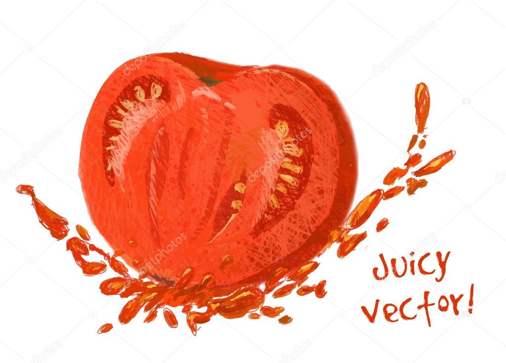 1024x735 Drawing Slice Of Tomato With Juice Stock Vector Lemuur