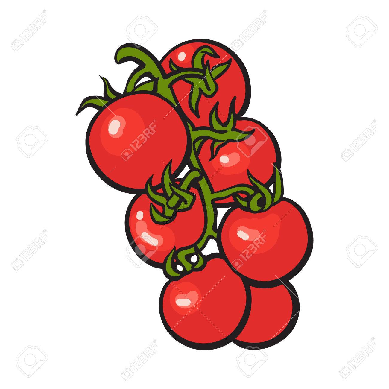 1300x1300 Sketch Style Drawing Of Shiny Ripe Red Cherry Tomatoes, Vector