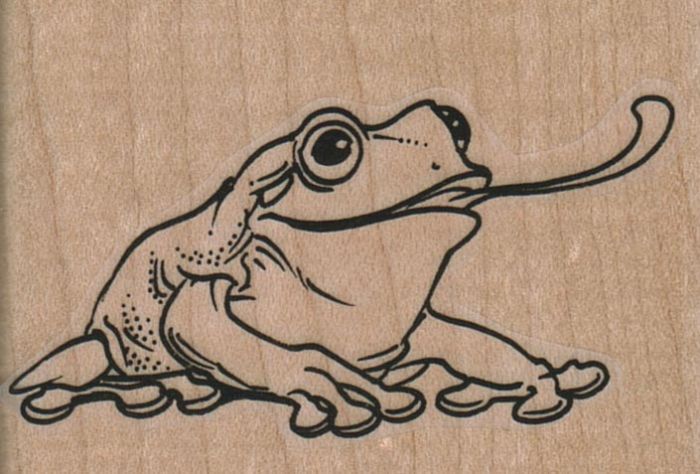 700x474 Frog Tongue Out 2 12 X 1 34