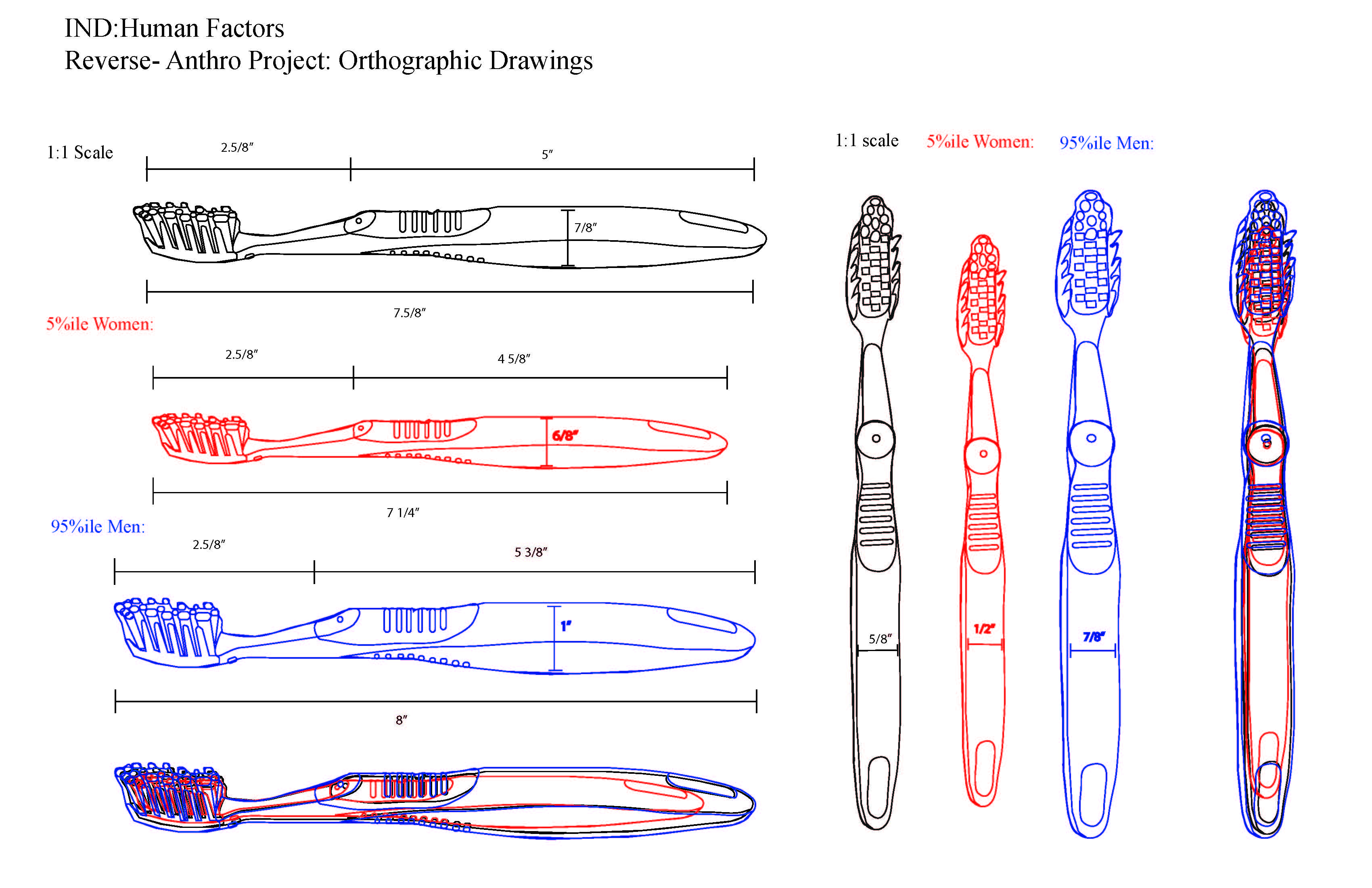 3400x2200 Reverse Anthro Toothbrush The Human Factor