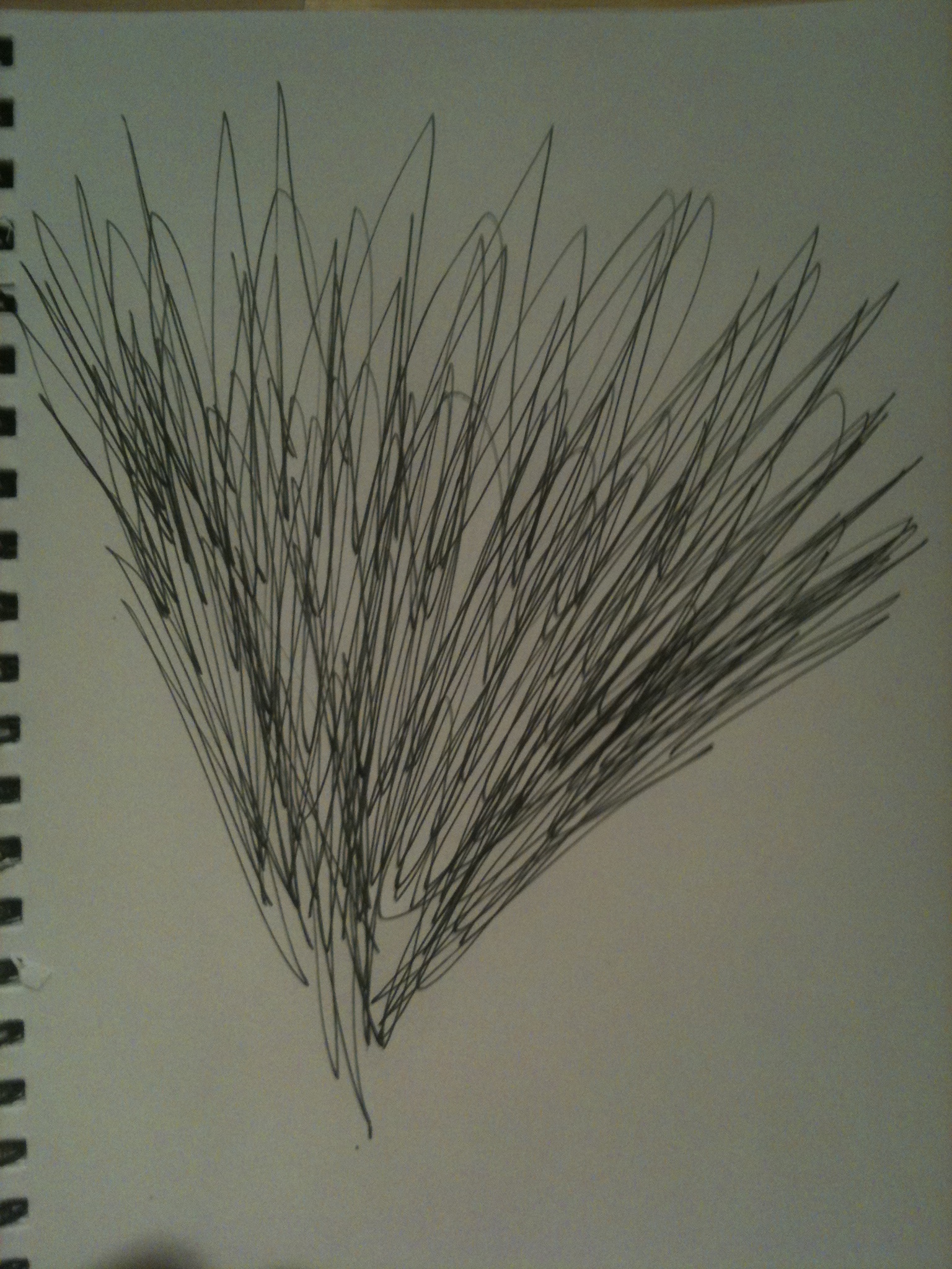 1536x2048 My Drawings Johnathan English