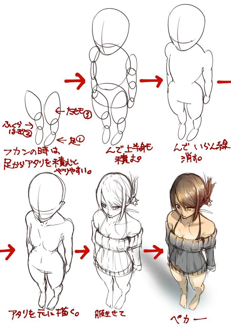 736x1040 Image Result For Anime Top Angle Character Design