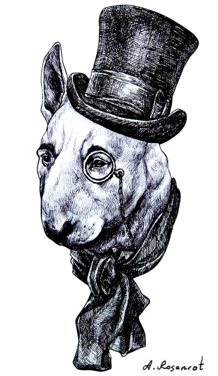 435x750 Sir Bullterrier