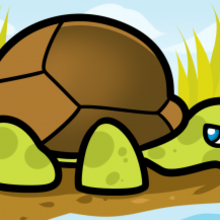 220x220 How To Draw How To Draw A Tortoise For Kids