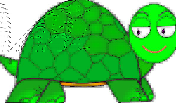 596x348 Turtle, Animation, Cute, Attractive, Cartoon, Funny, Happy