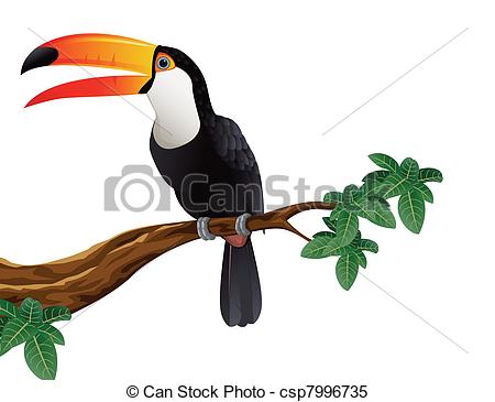 450x365 Image Result For Toucan Illustration Things That I Like