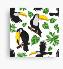 210x230 Toucans Drawing Canvas Prints Redbubble