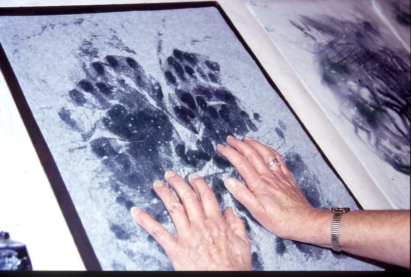 1559x1053 Touch Drawing Helen Warren, Artist