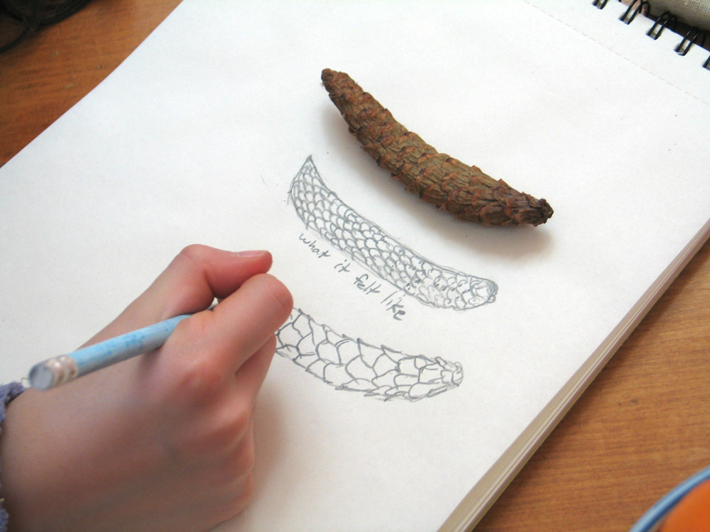 1000x750 Nature School Project Nature Touch Drawing