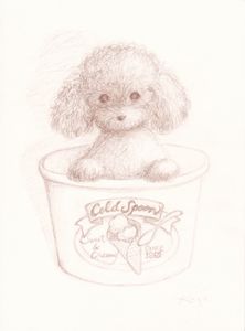 222x300 Dog Art, Toy Poodle Drawing, The Original Picture Available