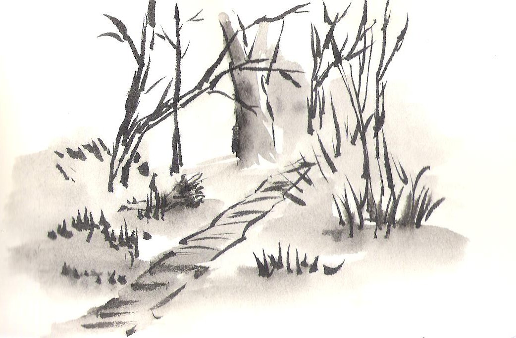 1042x684 Quiet Tales Three Sketches From Shenandoah National Park